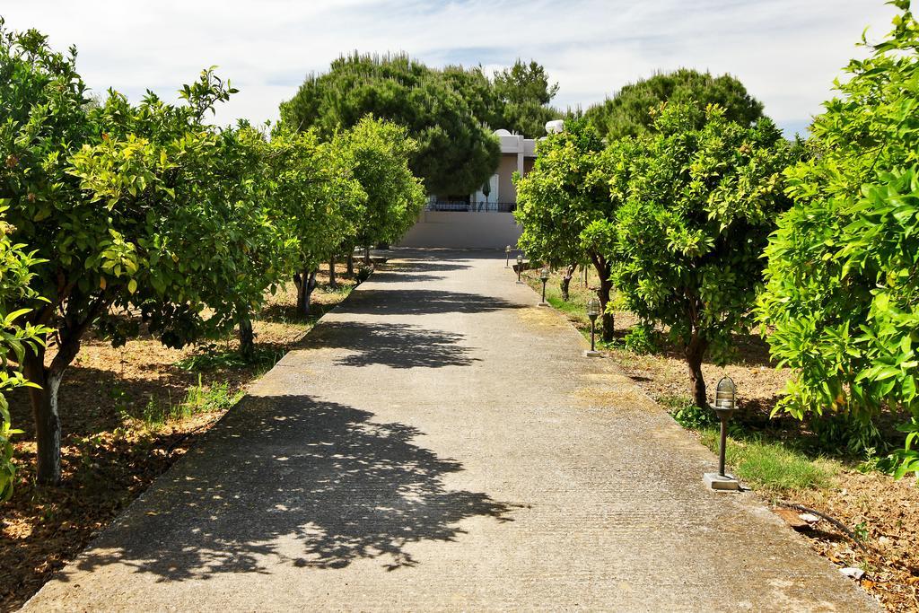 Villa Eleni Marathon  Exterior photo